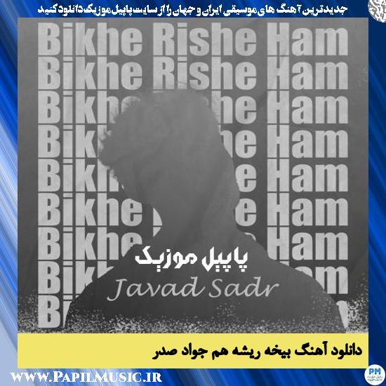 Javad Sadr Bikhe Rishe Ham دانلود آهنگ بیخه ریشه هم از جواد صدر